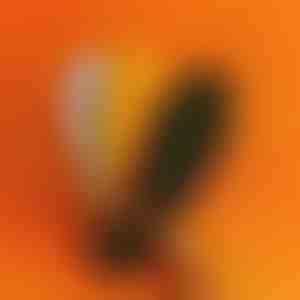 Semelles orthopédiques avec points de massage | STEPEASE