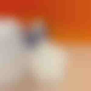 Coussin de talon pour réduire la douleur au talon | STEPHEEL