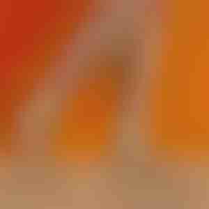 Chaussettes de compression | STEPSLICK